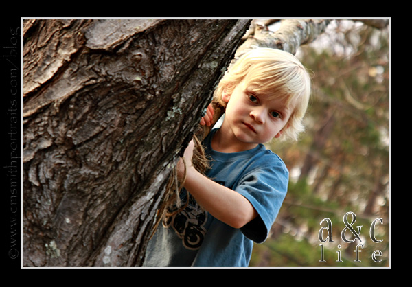 jessetree1-020 jessetree1-020